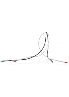 Synergistic Research Foundation SC